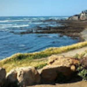 Meet your Posher, Ashlyn